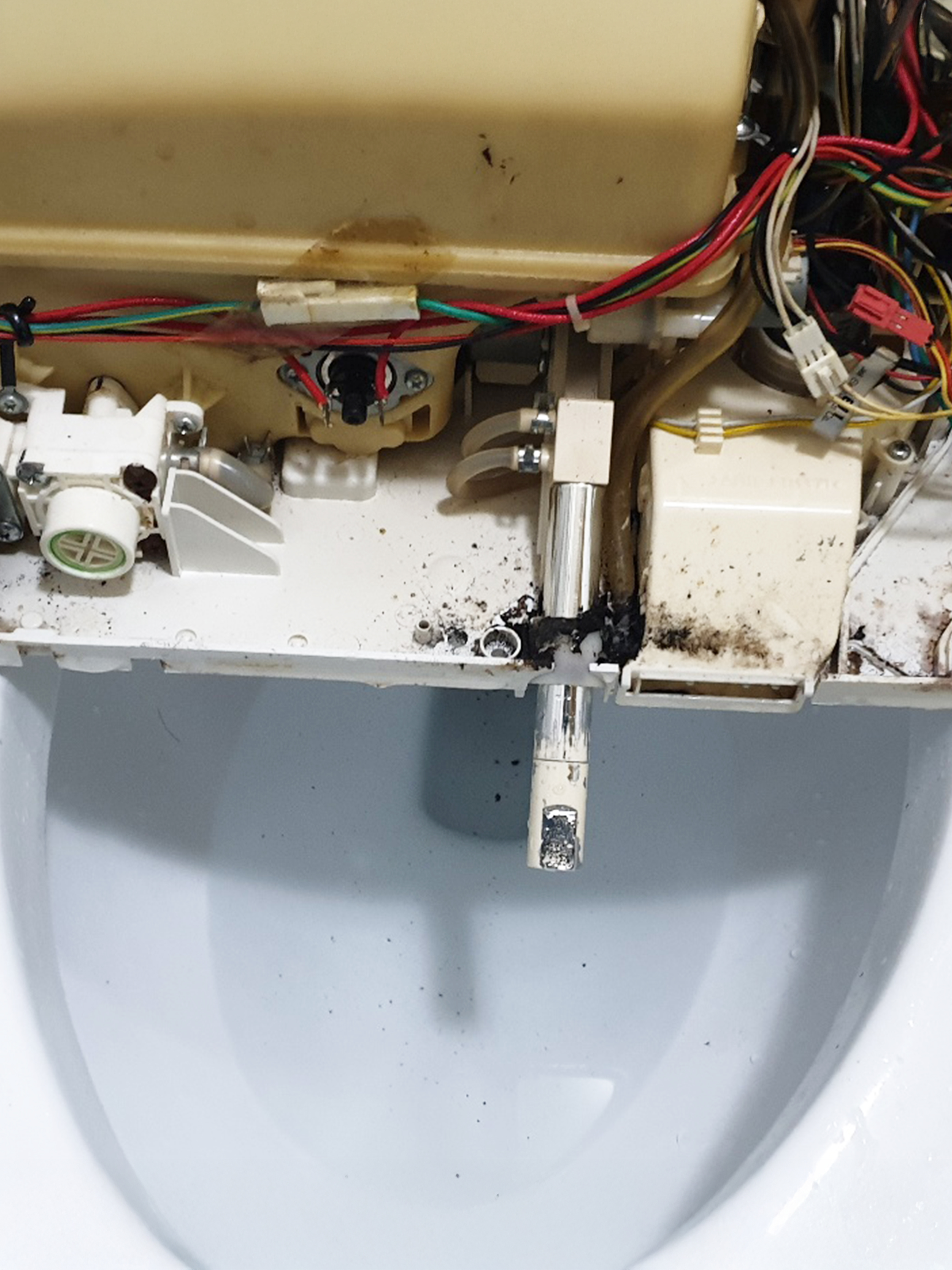 비데청소 비포 5